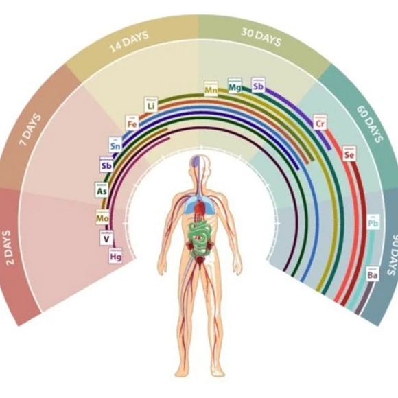 Coseva Advanced TRS Detoxification - Picture 3 of 7